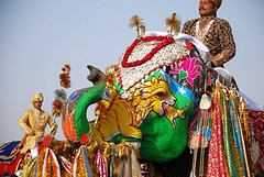 Elephant Festival Jaipur